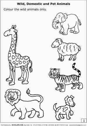 Scholars Hub Worksheets Animals